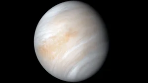 Announcement About Research on Venus’s Chemistry