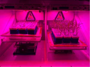 NASA Sends More Science to Space, More Strides for Future Exploration
