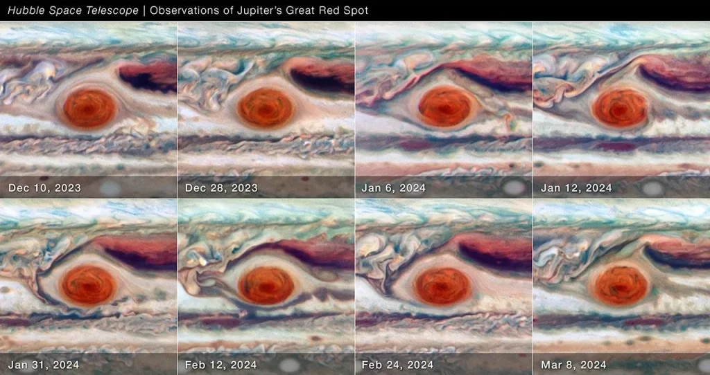 Eight Hubble images showing Jupiter's Great Red Spot. The GRS appears as a bright red oval in the middle of cream-colored cloud bands. The images trace changes in the GRS's size, shape, brightness, color, and twisting, over a period of 90 days between December 2023 and March 2024.