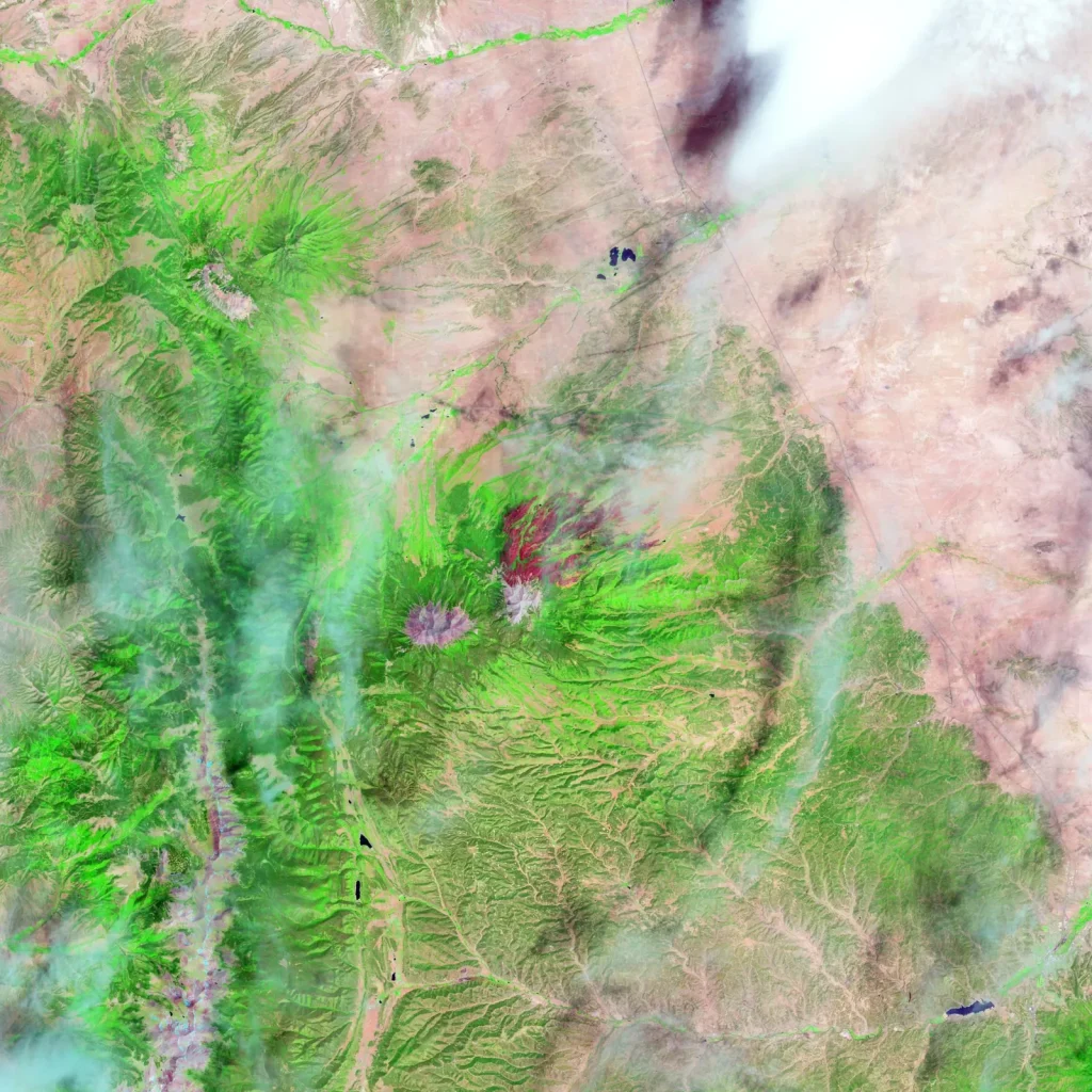 On June 22, 2013, the Operational Land Imager (OLI) on Landsat 8 captured this false-color image of the East Peak fire burning in southern Colorado near Trinidad. Burned areas appear dark red, while a