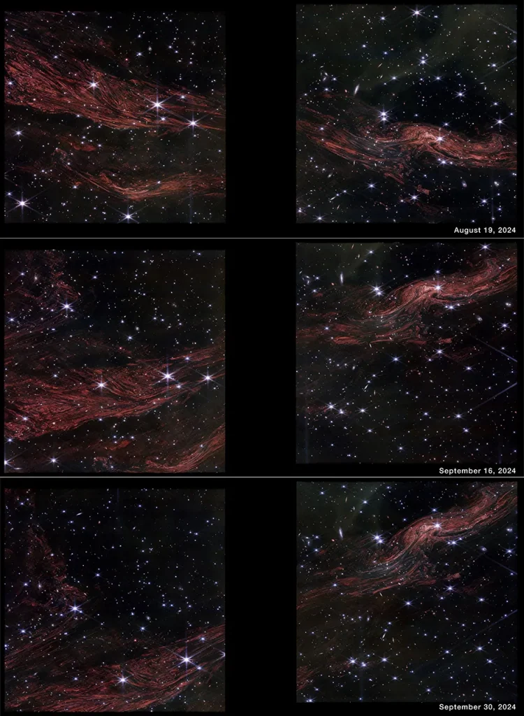 Three rows show Webb images of the same region taken on three different dates. The top row is labeled August 19, 2024. The middle row is labeled September 16, 2024. The bottom row is labeled September 30, 2024. Each row shows two images split by a vertical black bar where there is no data. Each image is speckled with dozens of white stars, some showing Webb’s signature 8-point diffraction spikes, against the black background of space. The images also show tightly packed, glowing red filaments that resemble muscle fibers or wood grain. While the background stars are the same in every row, the filaments change noticeably. In the top row, the filaments extend horizontally from upper left to lower right. In the middle and bottom rows, the filaments extend from lower left to upper right, and seem to shift slightly downward in position, with the last the lowest.