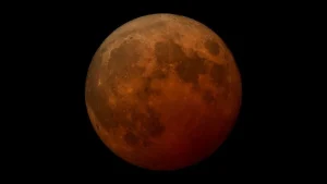 What You Need To Know About the March 2025 Total Lunar Eclipse