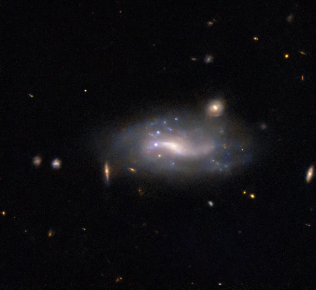 A supernova appears as a small but bright pink-white dot at the exact center of the image. It lies in a spiral galaxy, close to the glowing center and next to bright patches of blue stars in the galaxy. A few minor galaxies are visible around the comparatively large spiral as small glowing disks, while distant galaxies appear as mere orangish spots and smudges, all are on a black background.