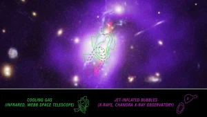 Webb Maps Full Picture of How Phoenix Galaxy Cluster Forms Stars