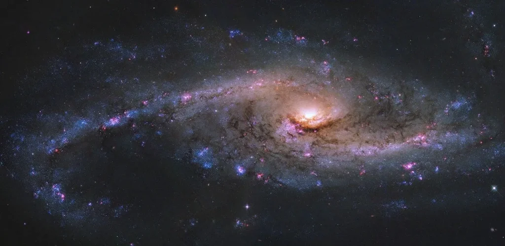 A spiral galaxy with one especially large sweeping, curving arm in view to the left. The galaxy's core glows golden. Pink clumps of ionized hydrogen and blue clusters of stars, along with dark dust lanes, are visible in the arms. Some of the galaxy is cut off to the right.
