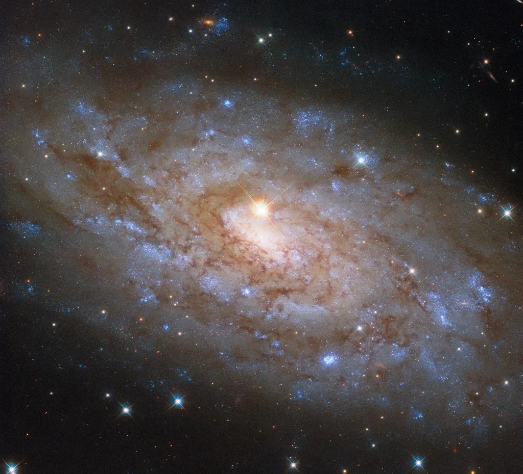 A spiral galaxy, seen tilted at a slight angle, on a dark background of space. It glows softly from its center and out to its edge. The disk is a broad swirl of dark-reddish dust webs and sparkling blue patches where stars have formed. Atop the center of the galaxy is a foreground star that appears very large and bright with four diffraction spikes emanating from it. The star is relatively close to Earth compared to the galaxy.