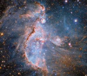 Hubble Spots Stellar Sculptors in Nearby Galaxy