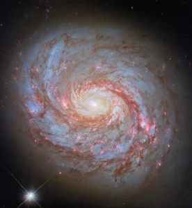 Hubble Spots a Squid in the Whale