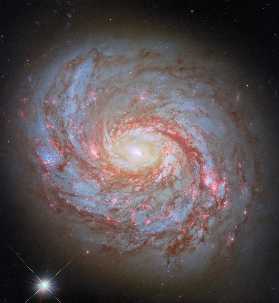 A close-up, face-on view of a spiral galaxy. Its center glows brightly. Spiral arms emerge from the galaxy’s core and wind through the round disk of the galaxy. You can spot these arms by their dark-red dust lanes and dots of brightly-shining, pink spots where stars are forming. Some faint stars are visible around the galaxy, as well as a particularly bright foreground star near the lower-left corner of the image.