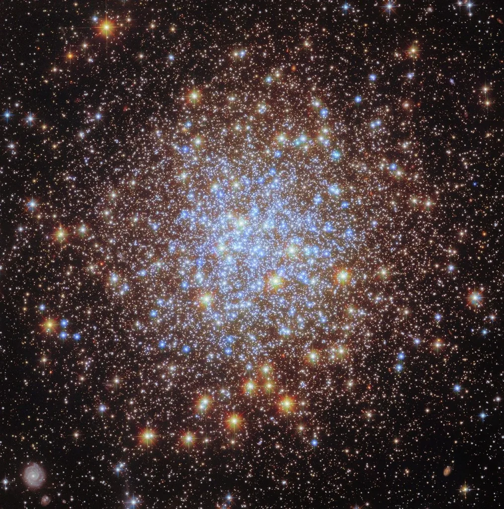 Thousands of bright stars fill a spherically shaped globular cluster. In the center, most of the stars appear blue. The globular cluster’s bright blue-white core is surrounded by a thick shell of yellower stars, seen in differing sizes according to their position in the spherical star cluster. They spread out beyond the edges of the image, appearing smaller and sparser at the corners of the image. A distant spiral galaxy is also visible in the lower-left corner of the image.