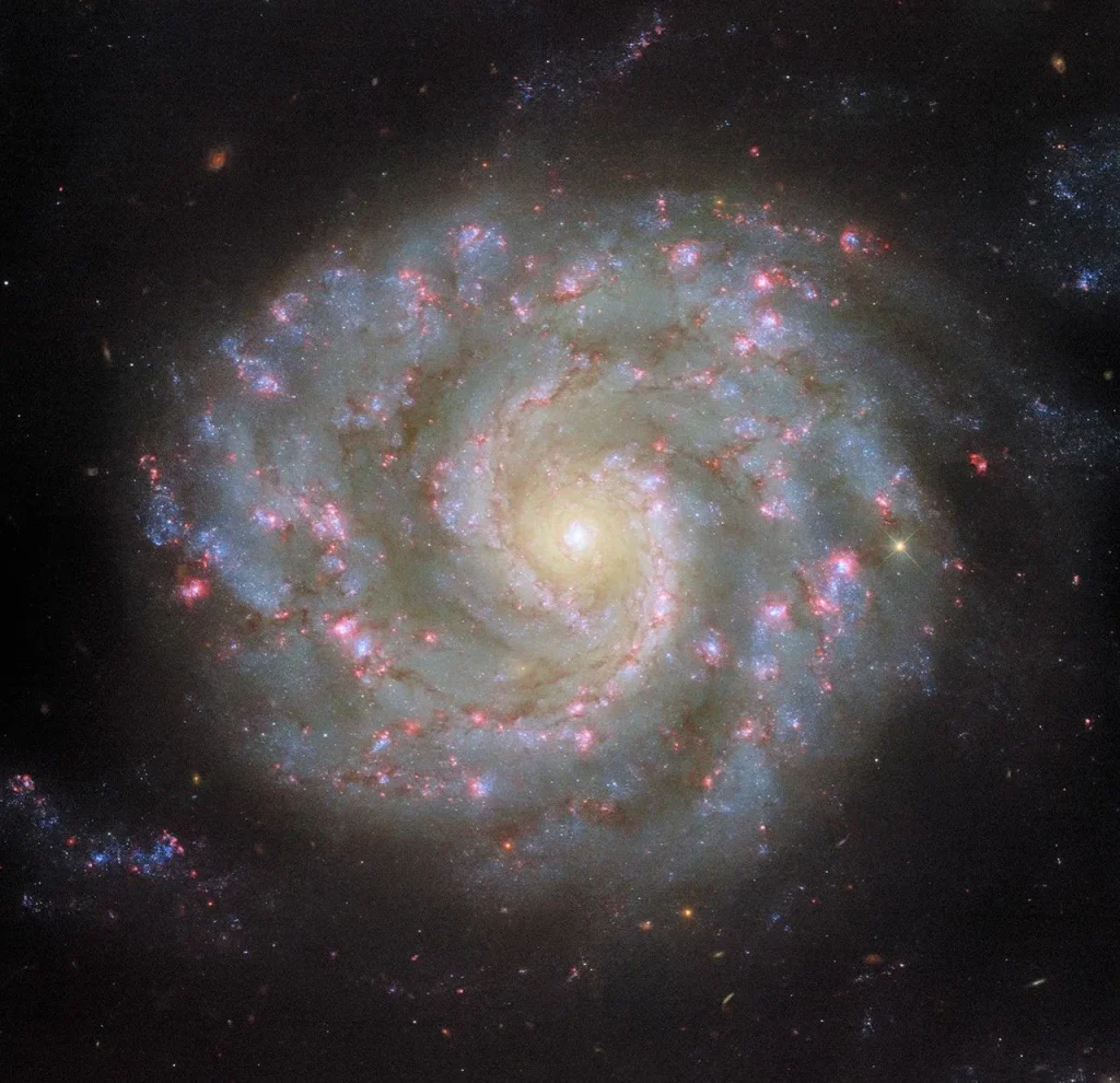 A spiral galaxy viewed face-on, with a slightly oval-shaped disk. The galaxy’s center appears as a bright white spot surrounded by a golden glow. Two spiral arms extend out from the center, wrapping around the galaxy and broadening out to form the thick outer edge of the disk. Thin reddish strands of dust and bright pink spots follow the arms through the disk. Faint strands of stars extend from the tips of the spiral arms and out beyond the disk.
