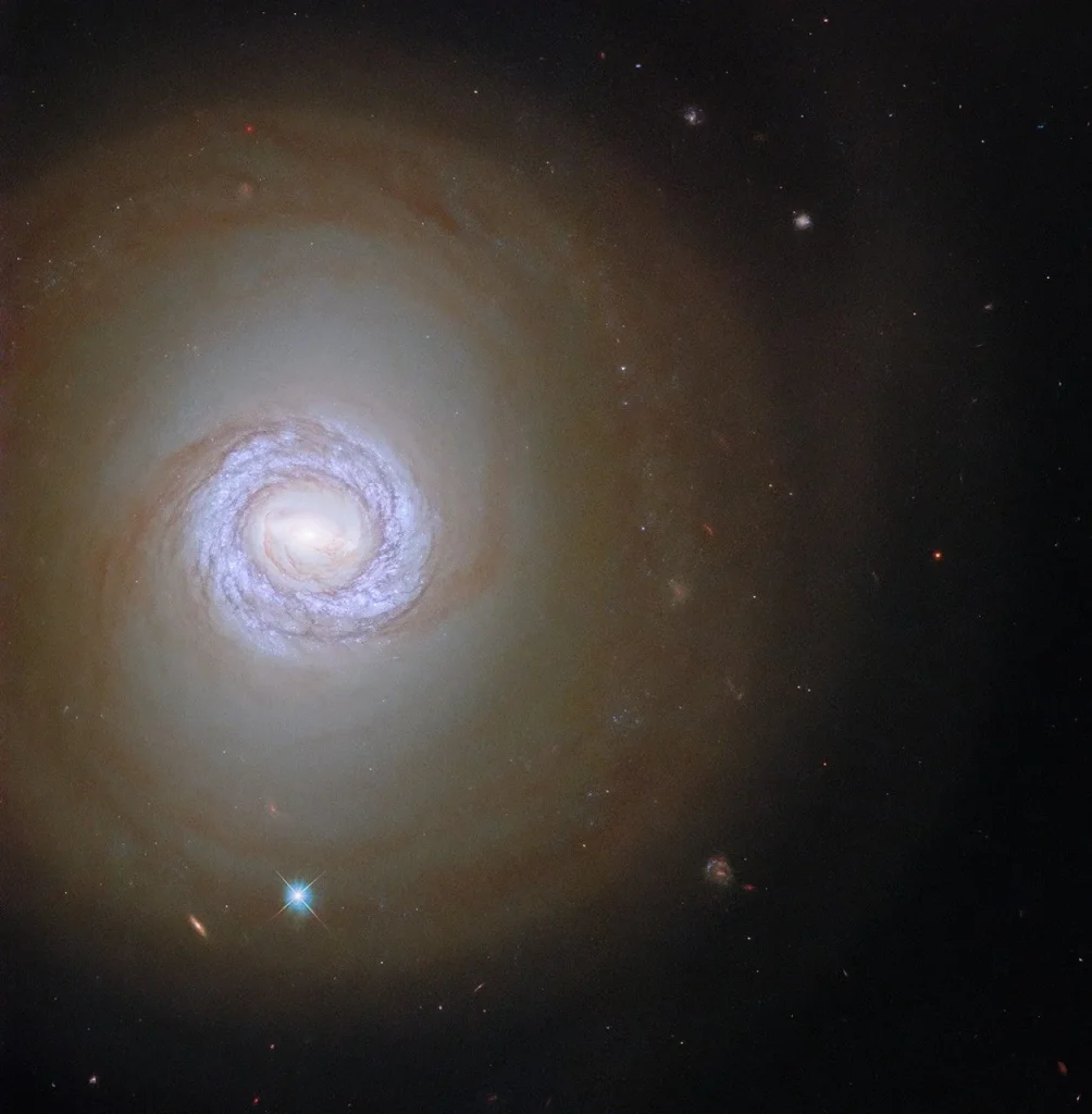 A vast, face on spiral galaxy that holds an inner ring of bright-blue, young stars.