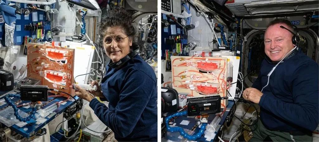 Two astronauts working at tables with complex systems of tubes, syringes, and other apparatus.