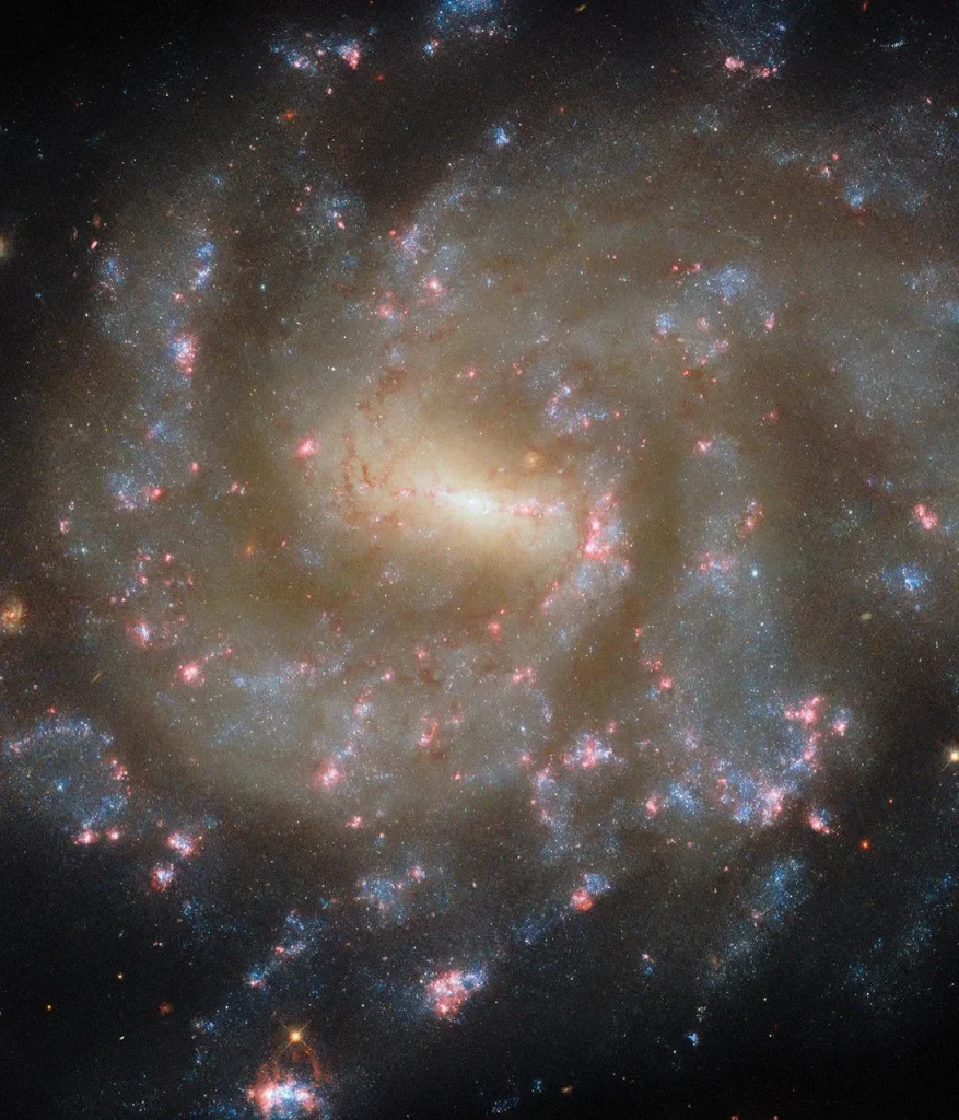 A spiral galaxy seen directly on. It glows strongly at its center and has a short horizontal bar. Two spiral arms extend from this bar, but they are broad and irregularly shaped. The galaxy’s spiral arms hold tiny blue dots — young stars — and glowing pink clouds — star-forming nebulae. The arms break apart into many strands at the edge of the disk. Beyond the galaxy is a dark background.