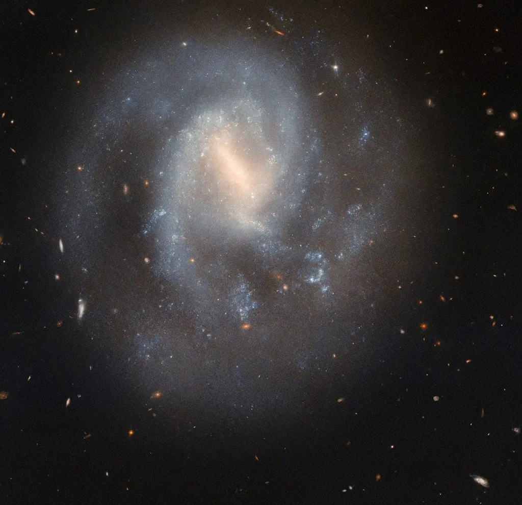 A spiral galaxy with a soft and slightly faint appearance. It glows most brightly around the pale-yellow bar across its center. It has two spiral arms which wrap around its core, quickly broadening out to join a wide, faint circular halo around the galaxy. Glowing, sparkling patches in the disk show stars forming in nebulae. Behind the galaxy, distant galaxies appear as orange dots on a black background.