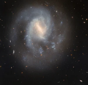 Hubble Studies a Spiral’s Supernova Scene