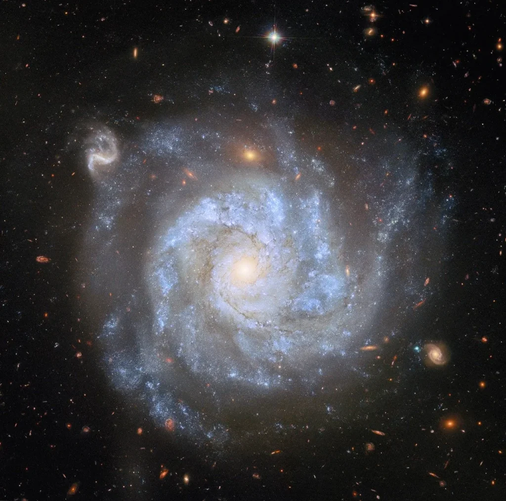 A top-down view of a spiral galaxy, showing its brightly-shining center, its broad spiral arms, and the faint halo around its disk, as well as distant galaxies and stars on a dark background. Large blue clouds of gas speckled with small stars and strands of dark dust swirl around the galaxy’s disk. A couple of the background galaxies are large enough that their own swirling spiral arms are visible.
