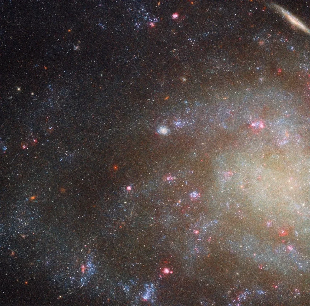 This Hubble image features a close-up view of the outer arms of the spiral galaxy NGC 45. Tiny blue dots (stars) and glowing pink clouds (star-forming nebulae) fill its spiral arms. The galaxy is visible against a dark background.