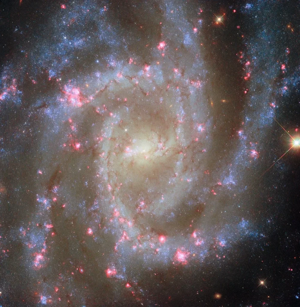 A face-on spiral galaxy. Its center glows bright yellow. The galaxy’s spiral arms contain sparkling blue stars, pink spots of star formation, and dark threads of dust that follow the arms.