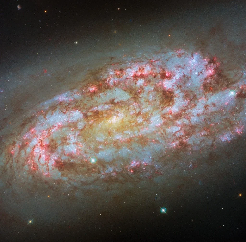 A spiral galaxy, seen partly from the side, with a messy, turbulent appearance. Its disc is made of multiple patchy arms that contain numerous sparkling blue and glowing red regions — star clusters and star-forming nebulae. Thick clumps of dark reddish dust swirl through the disc. The glow of the disc extends out into the dark background, where both distant and nearby stars can be seen.