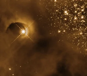 Hubble Observes Stars Flaring to Life in Orion