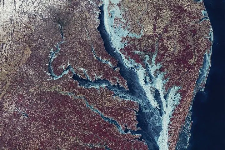 A false-color satellite image of the Chesapeake Bay region shows the bay and its tributaries largely frozen, with the thickest blue and white ice concentrated along the eastern shoreline.