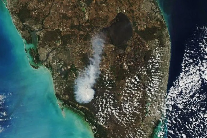 A satellite image of southern Florida shows white-gray smoke east of the coastal city of Naples. Winds carry the plume northward toward Lake Okeechobee.