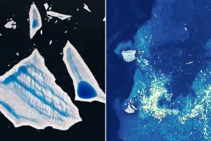 Ailing “Megaberg” Sparks Surge of Microscopic Life