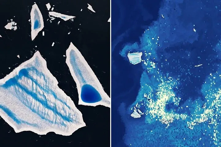 A more detailed view of large fragments of A-23A shows distinct melt pools and channels on the surfaces of irregularly shaped icebergs against dark ocean waters. Dozens of much smaller icebergs are scattered around the largest bergs, particularly on the right side of the image.