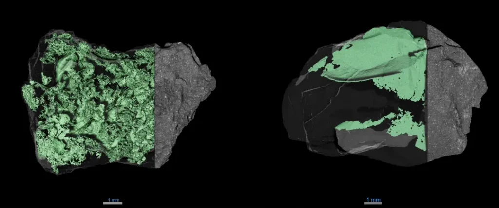Two irregularly-shaped particles are seen side-by-side on a black background. They have about 3/4 of their interior revealed to show green coloring that highlights networks of cracks within.