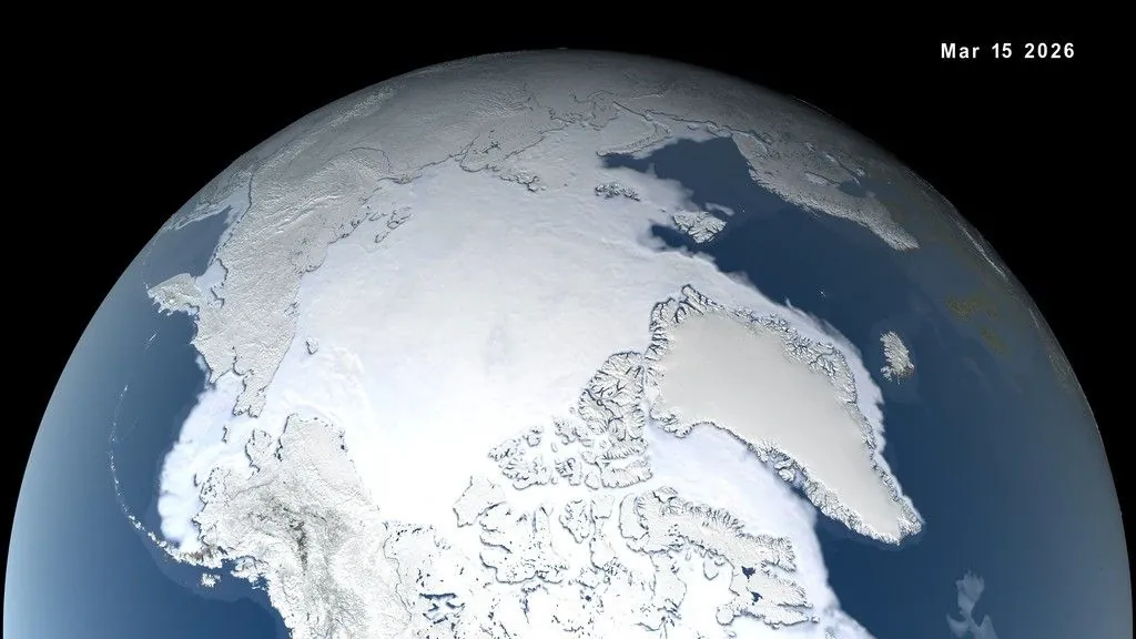 A view of the Arctic showing the maximum ice accumulation on March 15, 2026.