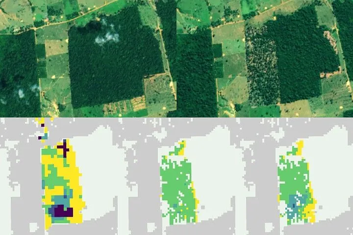 Figure showing before-and-after 2020 deforestation and three maps comparing detection timing using SAR, optical, and combined data.