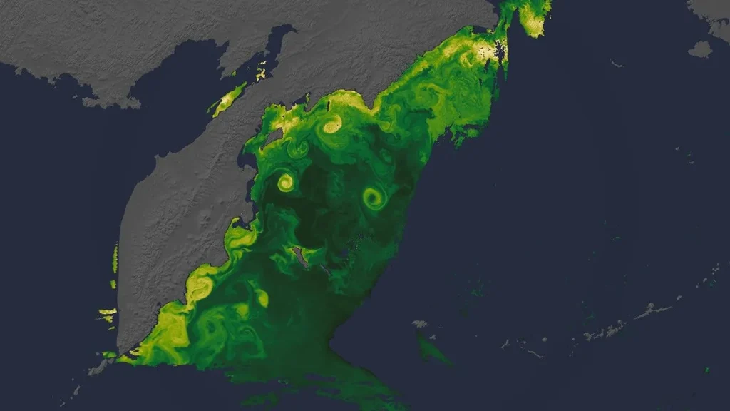 A data visualization of a region of the northwestern Pacific Ocean, around the Kamchatka Peninsula. Blooms of diatoms are shown on a scale from green to yellow, with yellows representing more of the organisms. The yellows swirl along the peninsula’s eastern coastline, with a few further out into the oceans.