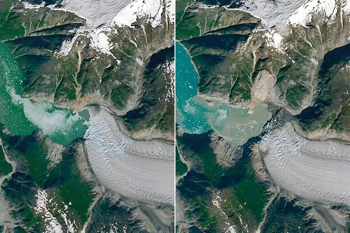 Satellite view of a fjord with a glacier occupying the right half and open water on the left. The glacier’s front has retreated, and brown has replaced previously green areas on land where a tsunami stripped away the vegetation.