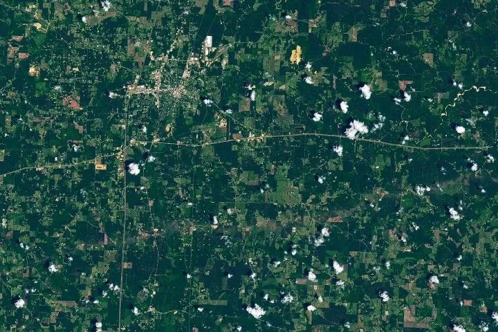 A tan line of tornado-damaged vegetation runs from left to right across the mostly green landscape south of Brookhaven, Mississippi.