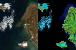 Signs of Thaw in the Bering Sea