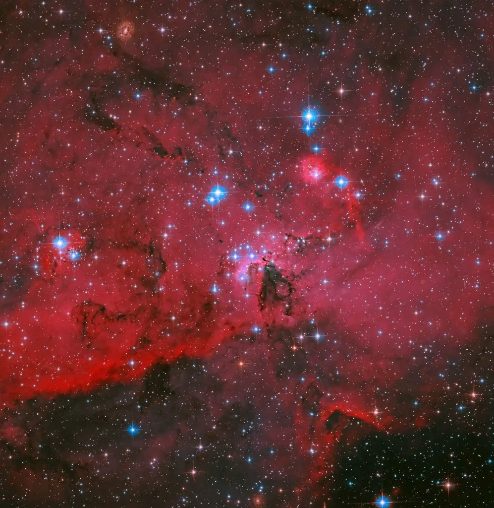 A Hubble image of blue and white stars are sprinkled throughout a landscape of red clouds of gas and dark, swirling lanes of dust. Many additional stars are visible in the dark background of space.