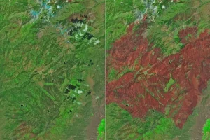 Cottonwood Fire Chars Utah