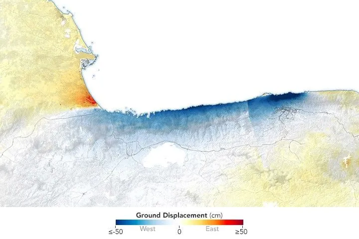 A satellite-derived map of northern Venezuela’s coast displays red where ground shifted eastward and blue where it shifted westward. A thin white line marks where the fault ruptured below ground.