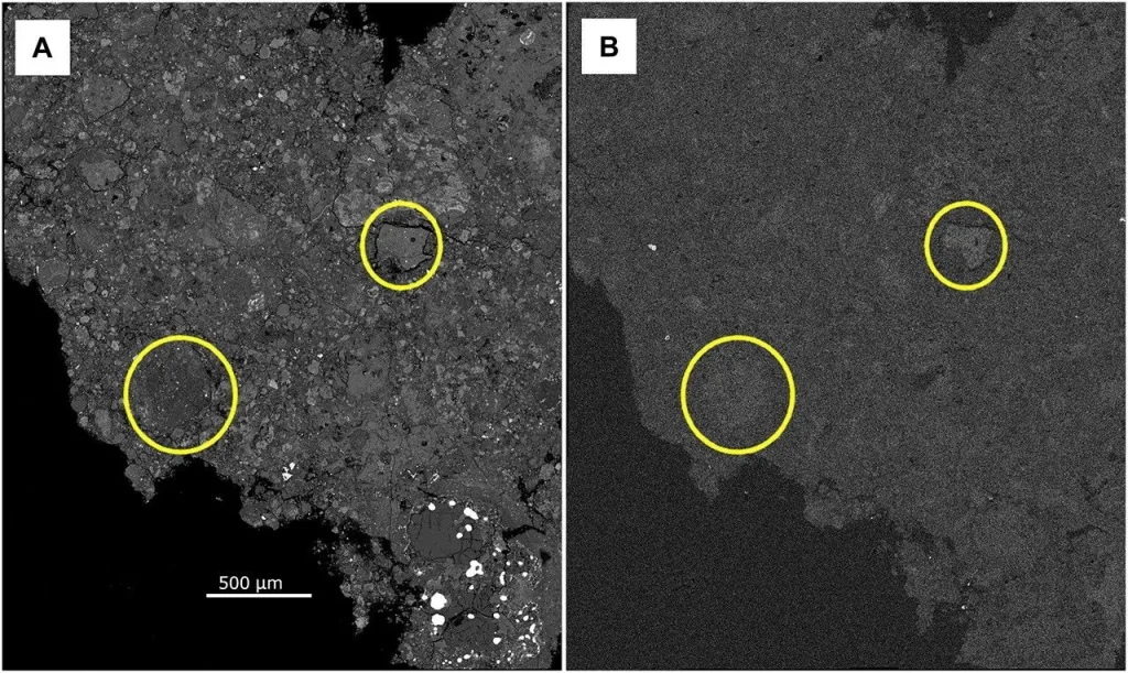 Two grayscale microscope images of the same area of the Hillsborough meteorite are shown side by side. In both panels, two circular features are outlined in yellow. The left panel is a backscattered electron image that reveals the meteorite's internal structure and the locations of two C1 clasts. The right panel is an X-ray elemental map of the same area, where the circled clasts appear brighter than the surrounding material, indicating elevated sodium concentrations. The comparison shows that sodium is concentrated within the C1 clasts.