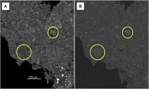 NASA Study of Pristine Meteorite Adds to Story of Ancient Asteroids