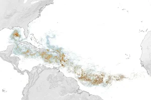 Sizing Up the Sargassum Belt