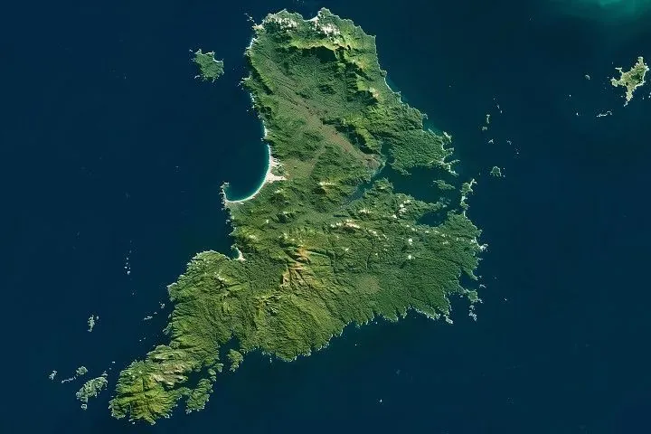 A roughly triangular island is almost entirely covered in green vegetation and has a large inlet on its eastern side.