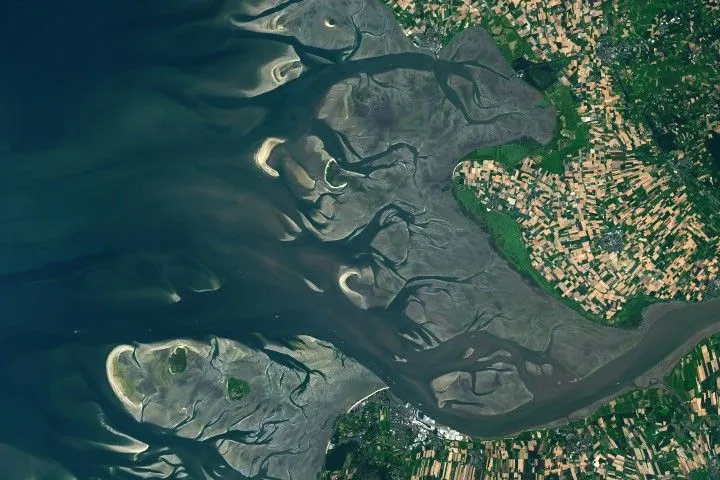 The Elbe river in Germany into the North Sea on the left side of the image. Low tide exposes wide, light-colored tidal flats interrupted by branching channels of dark water.