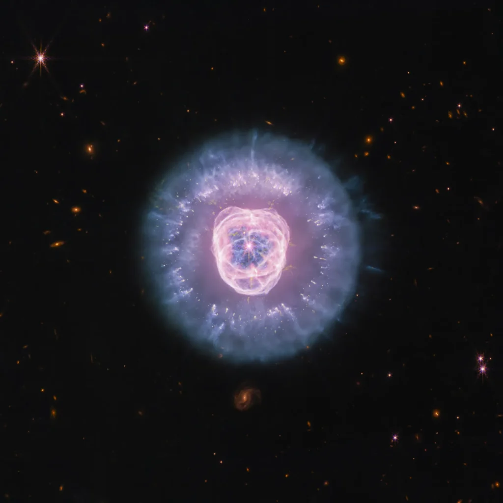 JWST’s Near Infrared Camera and Mid Infrared Instrument combined image of planetary nebula NGC 2392, the Lion Nebula, against the black background of space. The nebula is at center, circular in shape, and looks like a male lion’s head. In the center is a small, pinkish-white circle with eight-point diffraction spikes, a white dwarf star. Surrounding the star are purple-pink cavernous bubbles and shell-like rings. The bubbles and shells collectively form an oval with two small, wide arcs near the top, reminiscent of a lion’s face and its ears. What appears to be extended outward from the lion’s face is a thick ring of purple-blue material. The width of the ring is consistent throughout and resembles a mane. The area closest to the lion’s face looks cloudy, while the edges of the mane look like there are clumps of dust with comet-like tails. In the background are distant galaxies and stars. Some galaxies are yellow and orange points of light and others have spiral structures. Some stars have diffraction spikes.