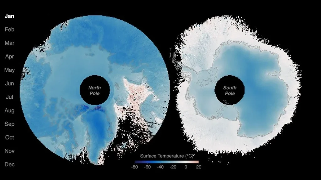 Side-by-side polar maps of the Arctic (left) and Antarctic (right) cycle through colors representing surface temperatures as the seasons change. The Arctic shifts from dark blue in January to red in mid-year and back to dark blue by December. The Antarctic shifts from light blue to dark blue and back to light blue over the same months.