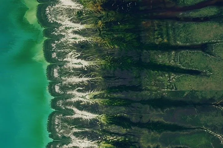 Blue coastal waters border a fringe of dark green mangroves with branching, linear tidal creeks and pale tidal flats and drainage channels visible to the east.