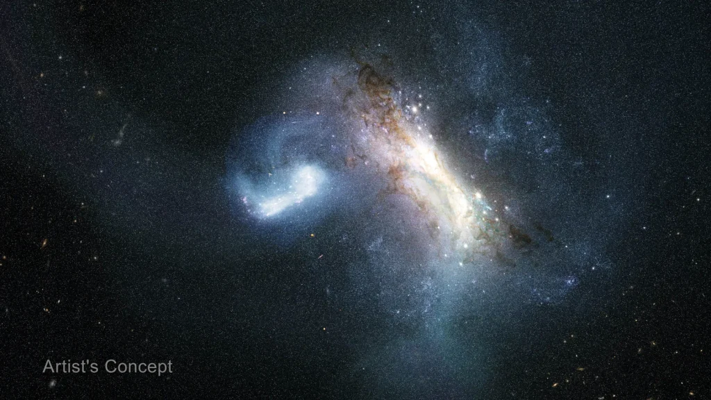 An illustration of two galaxies in the midst of a collision against a dark, star-filled background.  The collision takes up the middle third of the illustration. On the right, a larger galaxy is viewed at an angle from 11 o’clock to 4 o’clock, with a white-yellow core surrounded by mottled brown dust lanes and faint bluish spiral arms. To the left, a smaller, bright blue-white galaxy is stretched into a curved, hook-like shape as gravity distorts it. A broad, glowing bridge of pale blue gas and stars extends off the galaxy at the left, while wispy streams extend above and below the larger galaxy at the right. The words “Artist’s Concept” appear in the lower left corner.