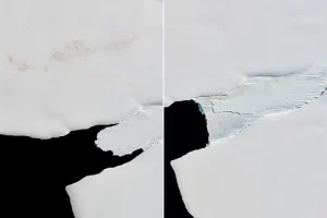 A Changing World for Emperor Penguins