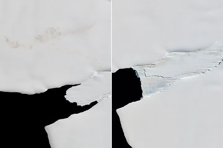 An image (left) shows a long trail of guano extending from rift ice northward to a larger guano stain on a nearby ice shelf in 2018. In 2023, brown guano stains are visible on fast ice much closer to open water, while there is no sign of the penguin colony on the ice shelf (right).